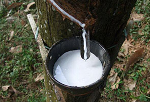 characteristics of acetic acid