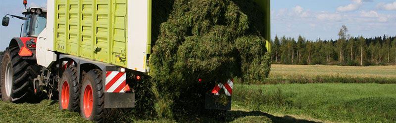 formic acid application